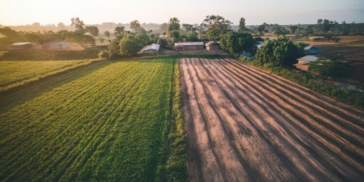 Le Ghana est confronté à un déficit de 156 millions de dollars suite au gel massif du financement par lUSAID voulu par Trump affectant principalement les secteurs de la santé et de lagriculture   Viral Mag
