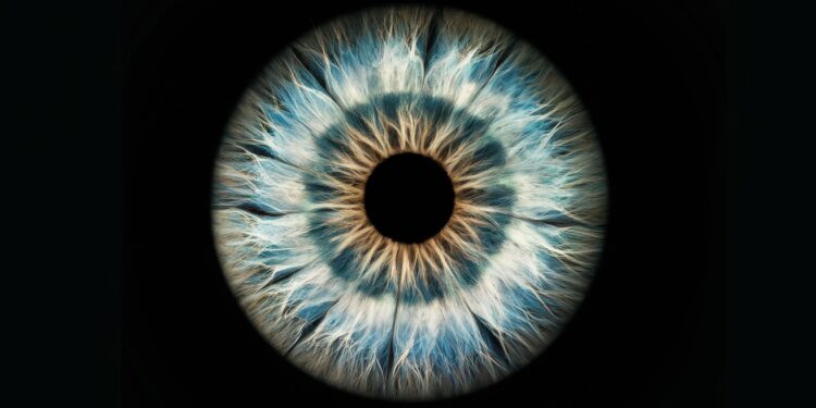 Liridologie cette pratique alternative qui analyse liris pour détecter des problèmes de santé Découvrez son fonctionnement et ses limites   Viral Mag