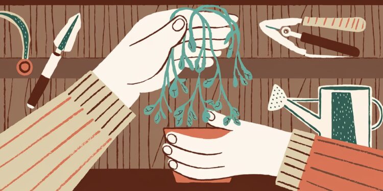 Découvrez nos conseils pour sauver votre plante en train de dépérir Diagnostic arrosage parasites  on vous dit tout pour lui redonner vie    Viral Mag