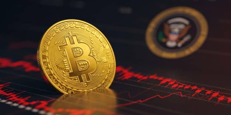 Le Bitcoin chute après lélan Trump  Découvrez pourquoi le marché se détourne du président pro crypto et ce que cela signifie pour lavenir   Viral Mag