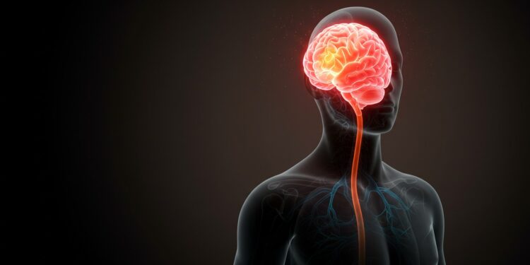 21032025   Une étude choc lie graisse abdominale et perte de mémoire Que faire pour protéger son cerveau  La réponse pourrait vous surprendre Cliquez pour savoir    Viral Mag