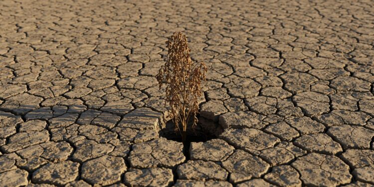 20032025   Les coupes de fonds menacent des millions de vies selon lONU Réfugiés abandonnés enfants sans école  jusquoù ira cette crise humanitaire  Lisez la suite    Viral Mag