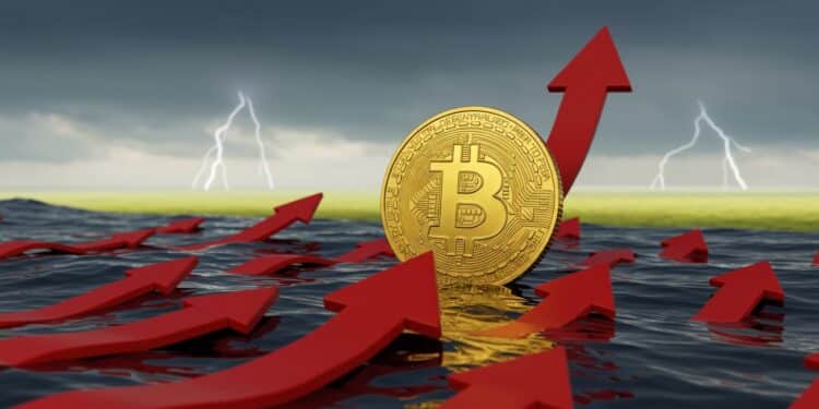 Bitcoin passe de 81 500 $ à 88 000 $ en un jour  Découvrez les raisons de ce rebond spectaculaire et ce que cela signifie pour lavenir   Viral Mag