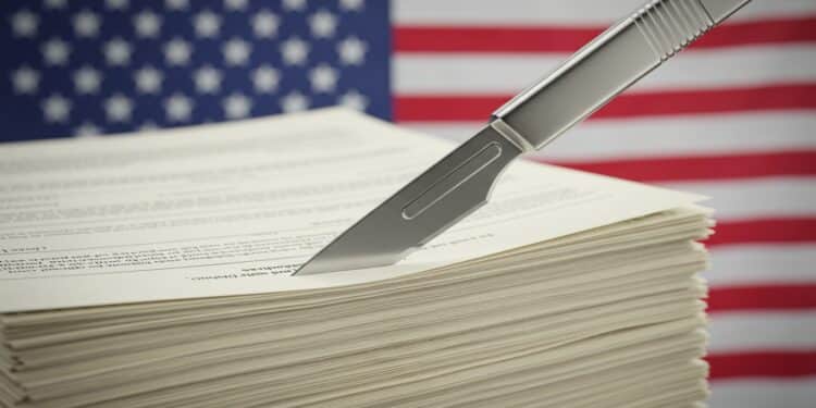 Trump prône une réduction précise des effectifs publics avec Musk Découvrez les coupes massives et les tensions qui secouent ladministration    Viral Mag