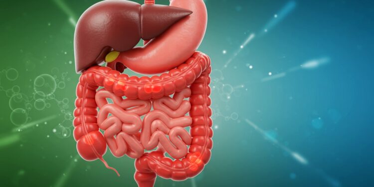 Des douleurs abdominales ou saignements rectaux  Découvrez 8 signes indiquant quil est temps de voir un gastro entérologue pour protéger votre santé digestive   Viral Mag