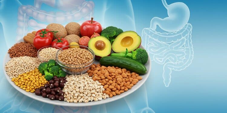 La fibre réduit le risque de cancer colorectal grâce à ses bienfaits sur la digestion et linflammation Découvrez pourquoi et comment lintégrer à votre alimentation   Viral Mag