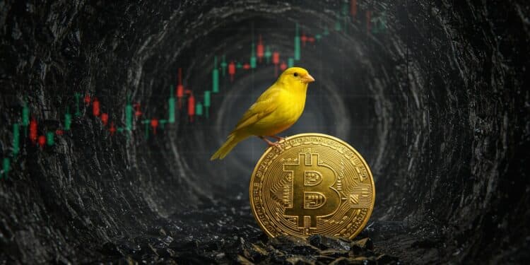 Les écarts de crédit sélargissent  un signal dalarme pour Bitcoin  Découvrez si la crypto peut devenir un refuge face à la tempête financière    Viral Mag