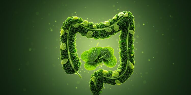 Découvrez pourquoi les légumes verts à feuilles sont essentiels pour votre santé intestinale selon les experts avec des astuces pour optimiser votre digestion   Viral Mag