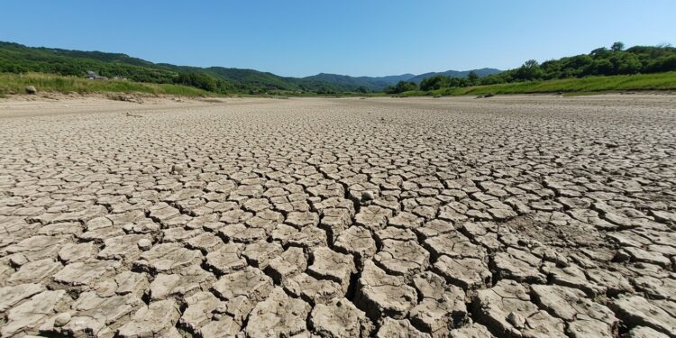 Sécheresse Précoce : La Rivière Doubs Disparaît - Viral Mag La rivière Doubs sassèche dès avril un signe alarmant du changement climatique Découvrez les impacts et solutions pour préserver nos ressources en eau   Viral Mag