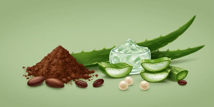 Découvrez les 7 meilleurs gommages visage naturels de 2025 adaptés à chaque type de peau Bio vegan éthiques  trouvez le soin parfait pour vous    Viral Mag