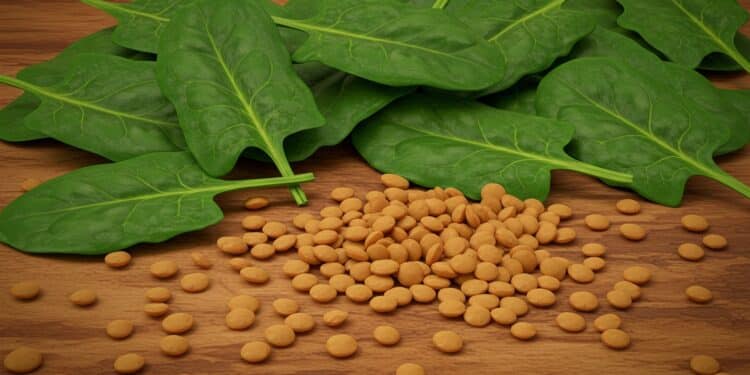 Un Nutriment Clé Réduit le Risque de Cancer du Côlon - Viral Mag Découvrez comment un nutriment courant pourrait réduire de 30 le risque de cancer du côlon selon une étude récente Adoptez des habitudes simples pour protéger votre santé Viral Mag