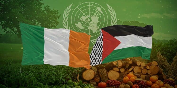 LIrlande propose une loi inédite en Europe pour interdire limportation de produits des colonies israéliennes jugées illégales par lONU Une décision symbolique aux impacts mondiaux   Viral Mag