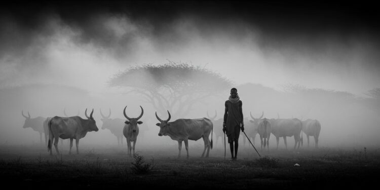 Explorez lœuvre de Sebastião Salgado photographe humaniste et ses images iconiques capturant la beauté et les tragédies du monde   Viral Mag