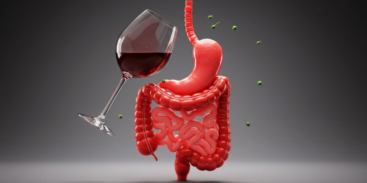 Le vin aggrave t il les troubles digestifs  Découvrez les résultats dune étude récente et des conseils pour protéger votre santé intestinale   Viral Mag