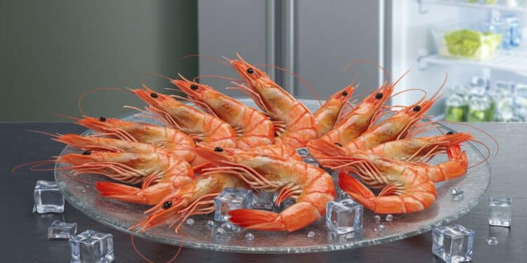 Apprenez combien de temps conserver crevettes crues et cuites au frigo avec astuces pour une conservation optimale   Viral Mag