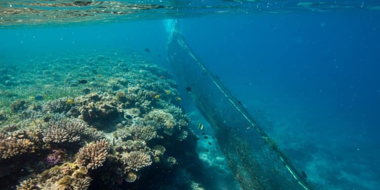 Interdiction Chalutage : Protéger les Fonds Marins - Viral Mag Vers une interdiction du chalutage de fond dans certaines zones marines pour préserver la biodiversité Découvrez les enjeux et impacts   Viral Mag