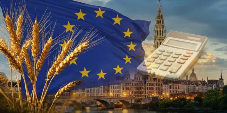 LUE dévoile son budget 2028 2034 Quels impacts pour la PAC et les agriculteurs  Négociations tendues et défis climatiques en perspective   Viral Mag