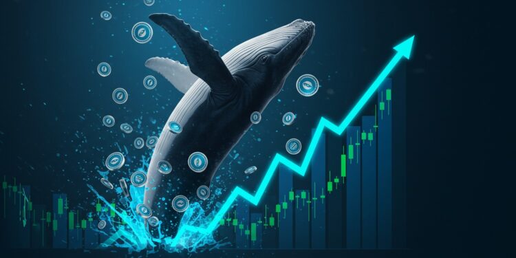 Nosana : Hausse de 130% Grâce aux Baleines, Rallye Durable ? - Viral Mag Découvrez pourquoi le prix de Nosana a bondi de plus de 130 en une semaine propulsé par les achats massifs de baleines Analyse technique et perspectives  le rallyeAnalysant les données  Larticle traite de la hausse de 130 du prix de Nosana stimulée par des investisseurs majeurs tiendra t il    Viral Mag