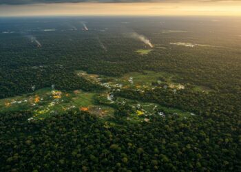 La Révolution DAO : Leçons de Gouvernance des Géants de la Silicon Valley - Viral Mag Les DAO doivent repenser leur gouvernance pour prospérer Découvrez comment les géants de la Silicon Valley comme Meta peuvent inspirer une structure plus résiliente   Viral Mag
