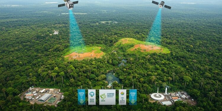 Découvrez la chute de 11 de la déforestation en Amazonie brésilienne au plus bas depuis 2014 Lula prépare la COP30 à Belem avec des ambitions zéro déforestation dici 2030   Viral Mag