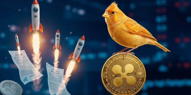 Canary Capital Lance XRP ETF le 13 Novembre - Viral Mag Découvrez comment Canary Capital vise un lancement XRP ETF le 13 novembre après modification SEC Analyse complète des implications pour le marché crypto et les investisseurs   Viral Mag