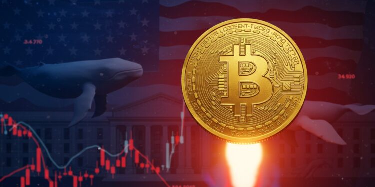 Montée Explosive du Trump Coin : Raisons Clés Aujourd’hui - Viral Mag Découvrez pourquoi le Trump Coin grimpe en flèche ce jour  accumulation par les baleines approbations ETF et anticipation de baisse des taux Analyse complète et perspectives pour les investisseurs en cryptomonnaies   Viral Mag