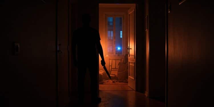 Découvrez le choc à Maubeuge  un homme de 36 ans multirécidiviste et en rupture psychiatrique avoue le meurtre au couteau de sa voisine de 62 ans Analyse complète dun fait divers glaçant   Viral Mag