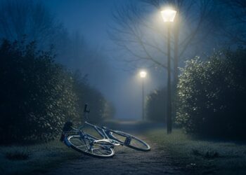 Tensions au Tigré  ladministration intérimaire appelle à laide face à une crise qui menace dexploser Que va faire Addis Abeba    Viral Mag