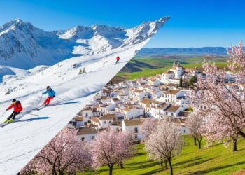 Transfert Jaminet : Toulouse Dénonce la Ligue - Viral Mag Le président de Toulouse critique la Ligue de rugby dans laffaire du transfert de Melvyn Jaminet Découvrez les dessous de ce scandale financier Viral Mag