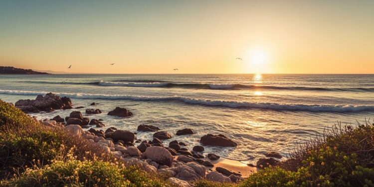 Découvrez lhommage mondial à Brigitte Bardot légende du cinéma devenue militante animale De ses rôles mythiques à sa vie engagée retour sur une existence libre et controversée qui a marqué des générations   Viral Mag