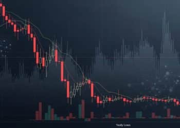 Découvrez nos conseils pour organiser une séance cinéma inoubliable en extérieur dans votre jardin Équipement emplacement ambiance on vous dit tout    Viral Mag