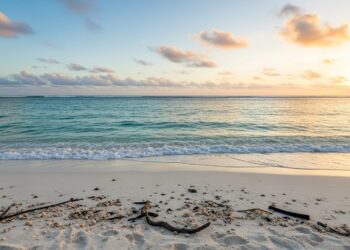 Les États-Unis renforcent leurs mesures contre l’immigration clandestine - Viral Mag Joe Biden annonce de nouvelles restrictions au droit dasile à la frontière mexicaine rapprochant sa politique de celle de Trump Viral Mag