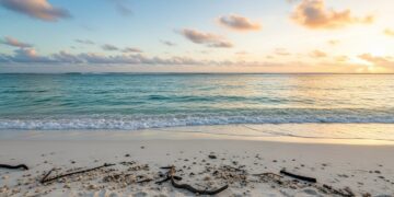 Les États-Unis renforcent leurs mesures contre l’immigration clandestine - Viral Mag Joe Biden annonce de nouvelles restrictions au droit dasile à la frontière mexicaine rapprochant sa politique de celle de Trump Viral Mag