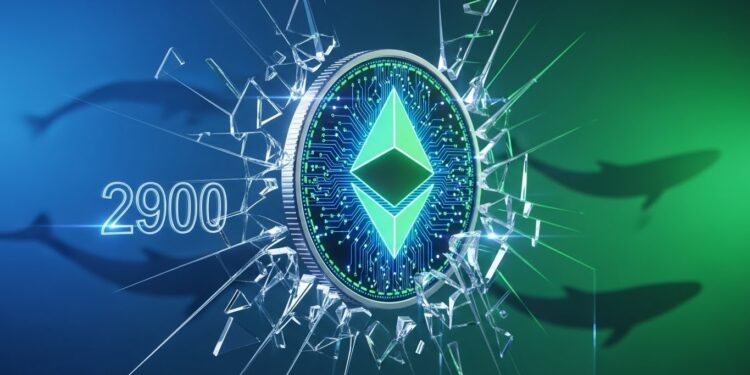 Découvrez si le prix dEthereum peut reconquérir le support à 2900$ suite à la chute récente avec lupgrade Fusaka en vue Analyse technique données on chain et perspectives de récupération   Viral Mag