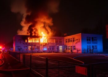 Découvrez un dîner protéiné rapide et savoureux avec un poulet rôti Des tacos croustillants qui vont révolutionner vos soirées  essayez vite    Viral Mag
