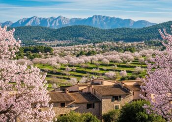 Le Highlife Ghanéen Inscrit au Patrimoine Unesco - Viral Mag Découvrez comment le highlife musique emblématique du Ghana vient dêtre reconnu par lUnesco Une célébration vibrante dun siècle de rythmes qui unissent les générations Viral Mag
