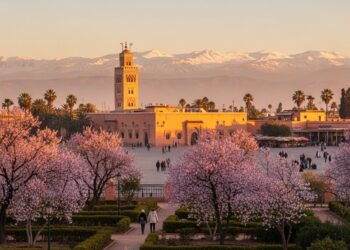 Découvrez pourquoi février est la période idéale pour visiter Marrakech  climat parfait moins de foule amandiers en fleurs et expériences authentiques à petits prix    Viral Mag