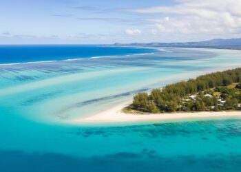 La cérémonie douverture des JO de Paris a fait exploser les écoutes de Gojira et de Lhymne à lamour de Céline Dion sur Spotify et créé le buzz sur la toile   Viral Mag