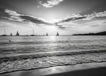 Les députés ont approuvé une version étendue de la taxe sur les hauts revenus dans le cadre du projet de budget 2025 Découvrez les détails   Viral Mag