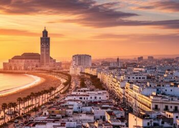 Repas Protéiné Facile : La Recette 2 Ingrédients - Viral Mag Découvrez le repas protéiné ultra simple à 2 ingrédients rapide à préparer et parfait pour rester en forme Boostez votre énergie dès aujourdhui Viral Mag