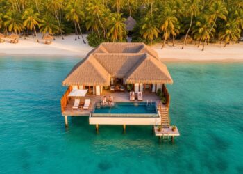 Les 12 Coups de Midi : La Cagnotte Record d’Émilien en Juin 2025 - Viral Mag Émilien domine Les 12 Coups de Midi avec une cagnotte de 245M€ en juin 2025 Découvrez son parcours et ses secrets pour un règne légendaire Viral Mag