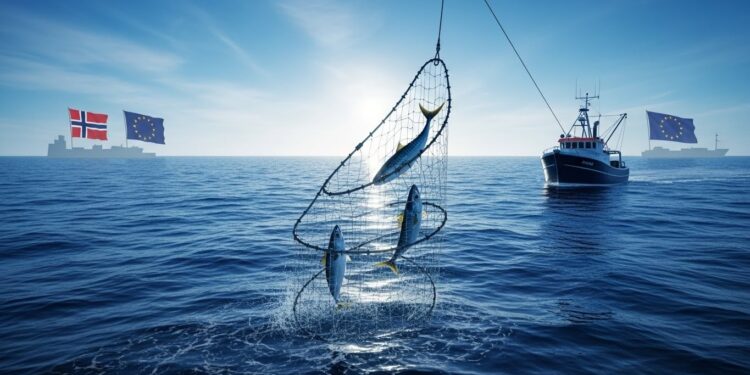 Quotas de Pêche 2026 : Baisse Drastique du Maquereau - Viral Mag Découvrez les nouveaux quotas de pêche UE pour 2026 chute de 70 pour le maquereau tensions avec la Norvège et impacts sur les pêcheurs Un accord douloureux pour la durabilité Viral Mag