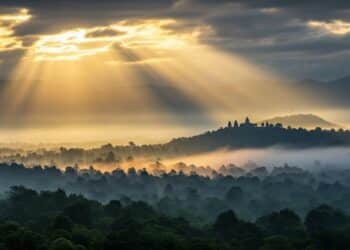 Un Nouveau Plan D’épargne Vert Pour Financer L’Industrie Durable - Viral Mag Découvrez le nouveau plan dépargne avenir climat un placement innovant qui finance des projets bas carbone tout en offrant un rendement attrayant Viral Mag