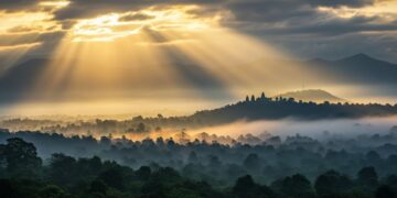 Un Nouveau Plan D’épargne Vert Pour Financer L’Industrie Durable - Viral Mag Découvrez le nouveau plan dépargne avenir climat un placement innovant qui finance des projets bas carbone tout en offrant un rendement attrayant Viral Mag