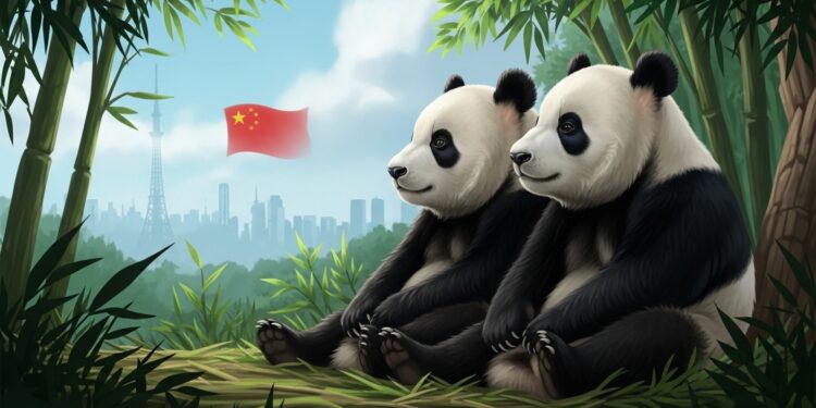 Les deux derniers pandas du Japon Xiao Xiao et Lei Lei quittent Tokyo le 27 janvier 2026 marquant la fin dune ère symbolique après 50 ans de présence Un départ lié à la diplomatie chinoise dans un contexte de tensions diplomatiques croissantes   Viral Mag