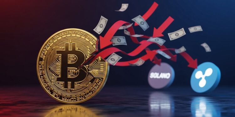 Le rallye Bitcoin sessouffle avec 243 M$ de sorties nettes des ETF US SOL et XRP résistent Analyse des flux rotation sectorielle et niveaux techniques clés à surveiller   Viral Mag