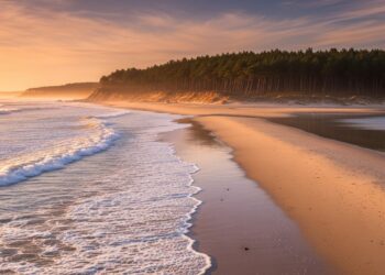 Une fête de village à Royère de Vassivière tourne au scandale  agression raciste ou simple rixe  Enquête sur les tensions entre ruraux et activistes   Viral Mag