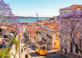 Microsoft engage la justice US et UK contre Red VDS plateforme utilisée pour phishing et fraudes à 40M$ Serveurs saisis en Allemagne avec Europol Détails choc   Viral Mag