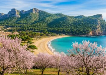 25032025   Lanimateur de CNews condamné en appel crie à linjustice liée à sa notoriété Une affaire qui divise  et si la célébrité influençait la justice  Cliquez pour tout savoir    Viral Mag