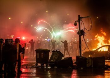 Découvrez nos conseils pour sauver votre plante en train de dépérir Diagnostic arrosage parasites  on vous dit tout pour lui redonner vie    Viral Mag